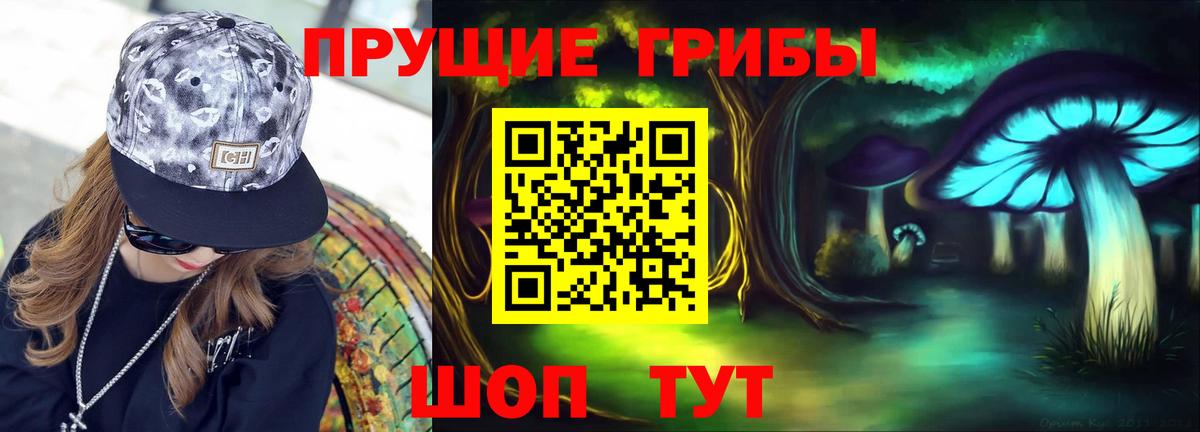 Алексин  Псилоцибиновые грибы Cubensis  Вход с VPN 